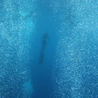 WhatsApp Image 2022-09-28 at 19.02.17.jpeg