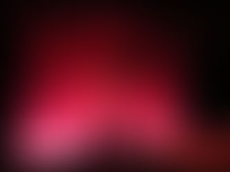 Honouring the Treaties with Neil Young at Massey Hall (January 13th 2014)