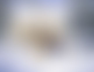 "It's Beginning To Look A Lot Like Grandma"