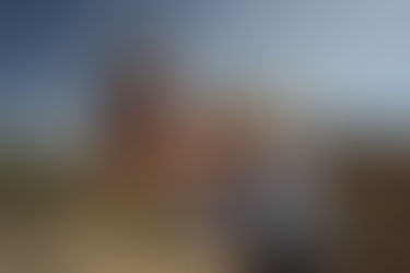 "Sandstone Sentinel"