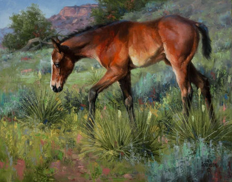 "Born In The Palo Duro"