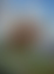 "The View From The Top"