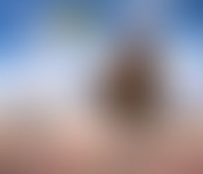 "Ridin' Like The Wind"