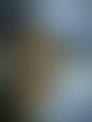 "Rainy Day Reflections"