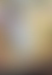 "Lower Falls Of The Yellowstone"