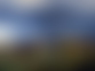 "Dampened Enthusiasm"