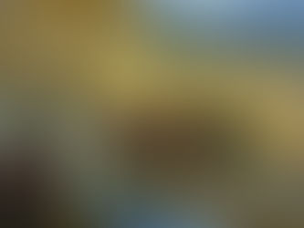 "The Glow Of Indian Summer"