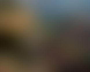 "Camp Along The Timbercreek"