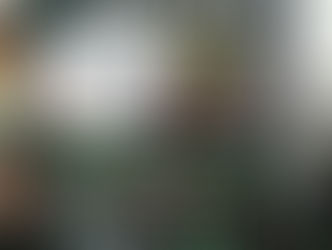 『ウクレレ女子』はじめませんか?
