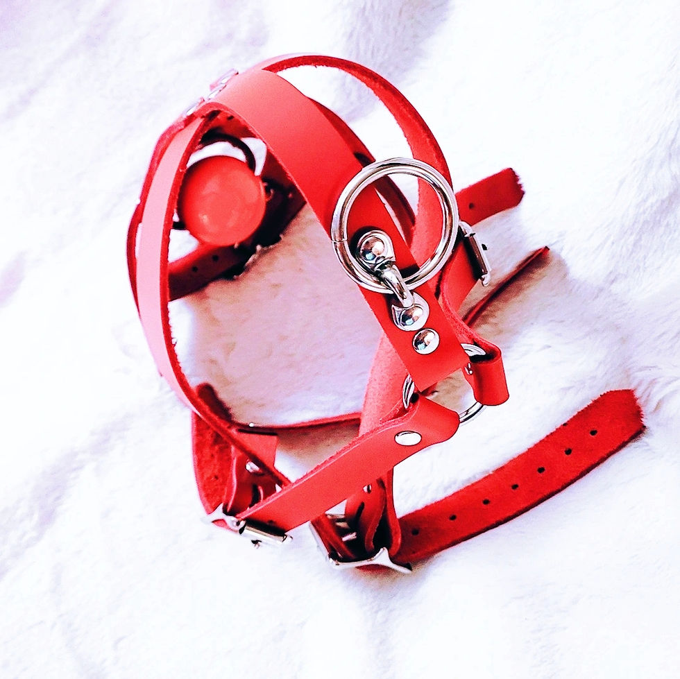 Thumbnail: Panel Head Harness Gag - 15 Colors