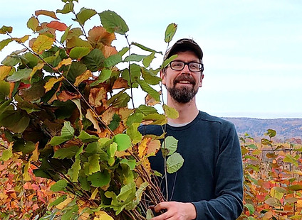 nut trees canada cold hardy trees permaculture trees