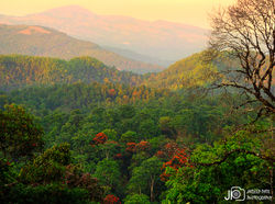 DSC01211_E