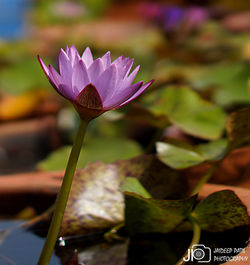 DSC08780_E