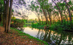 DSC03630_E1