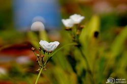 DSC08792_E