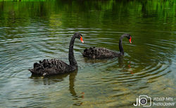 DSC03142_E