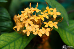 DSC08503_E