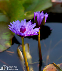 DSC08826_E