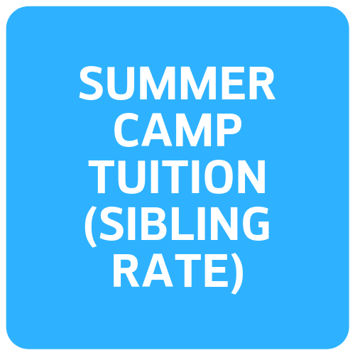 Summer Camp (sibling rate)