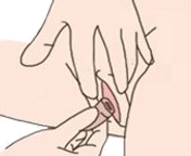 insert.png