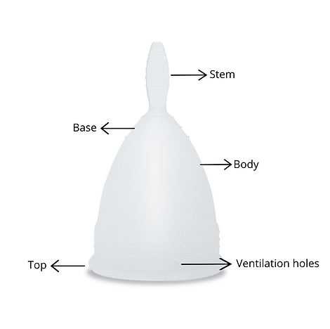 cup parts.png