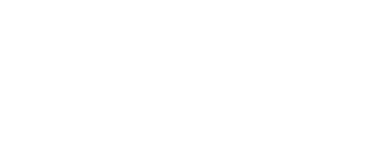 MDA11462-VisitMS-LogoRefresh white.png
