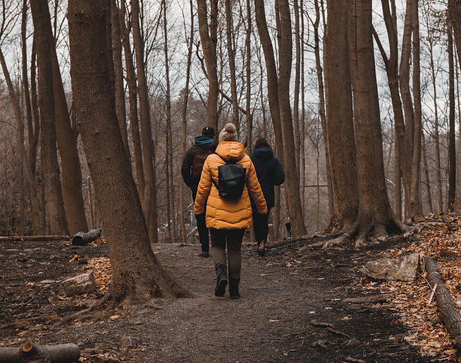 people-walk-through-leafy-trails.jpg