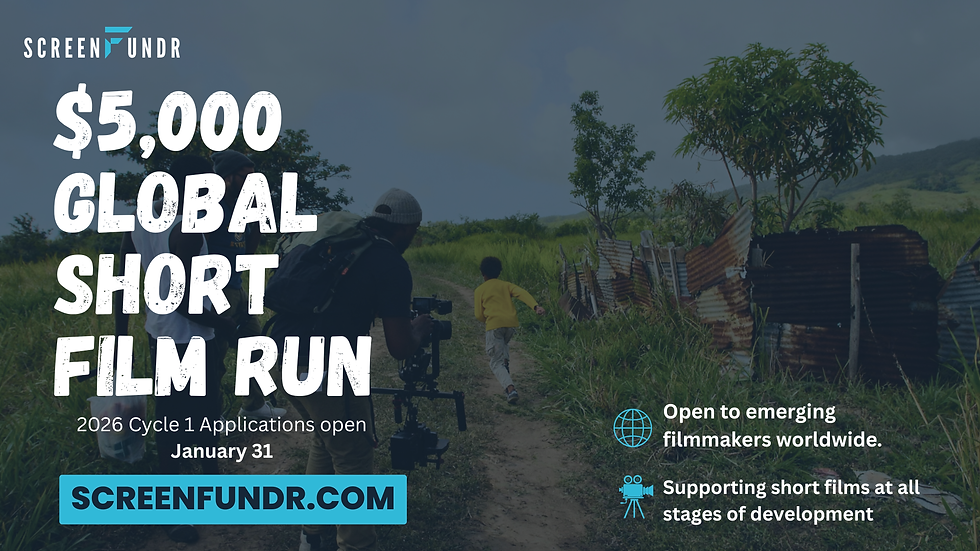 SCREENFUNDR PITCH DECK (4).png