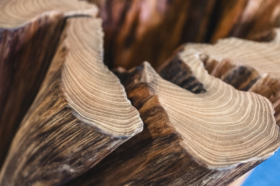 Detail ručně opracovaného dřeva připraveného pro finální povrchovou úpravu olejem nebo voskem – umělecká tvorba Jiří Hlávka - hlavka.art