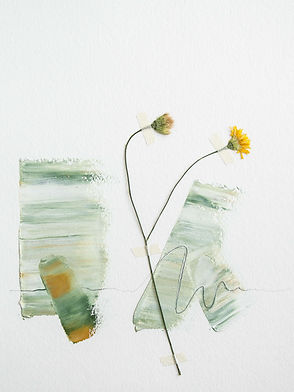 studiodomka-flora-shop-dandelion-002A.jp