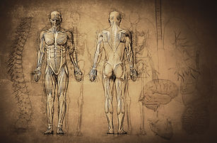 Michael Wesinger Aurachirurgie Innere Transformation Karmische Muster