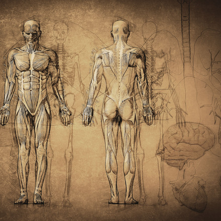 Medical Terminology: Greek and Latin Origins and Word Formation Guidelines