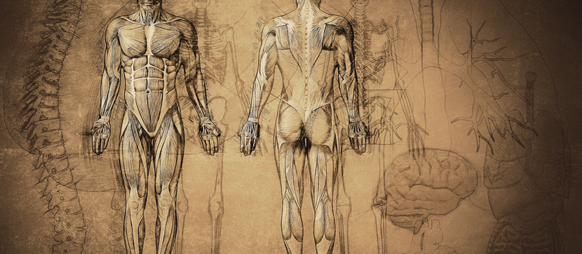 Organ Donation: We Need an Attitude Transplant