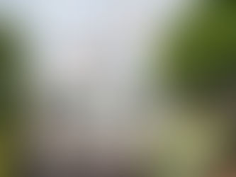 Highly recommend fresh new Listing from Kelvin of Harcourts Golden Link 