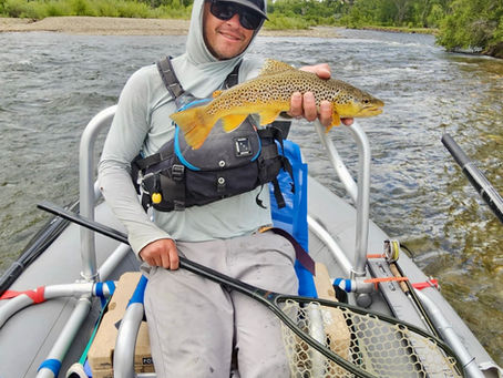 Upriver guide, David Engdahl, shows off a proper Arkansas River brown from a 7/8 float trip