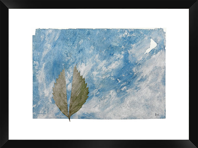 Peinture à la poudre de marbre et encre de Chine sur papier Xuan, incrustation botanique, par Alfredo Yache