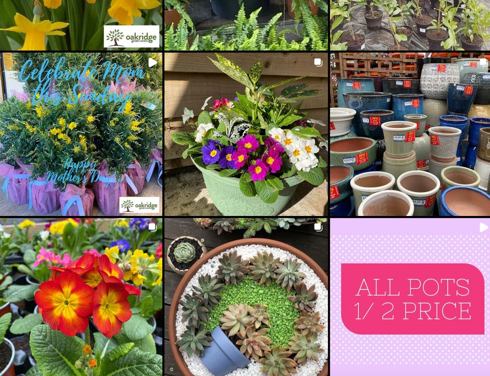 Screenshot 2024-11-19 at 23.19.58