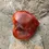 Thumbnail: Glowing Vitality | D4CARH9 | Carnelian Heart