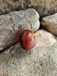 Ember Touch (Druzy) | D4CARP1 | Carnelian Palm Stone
