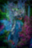 FLIGHT OF THE FAIRIES