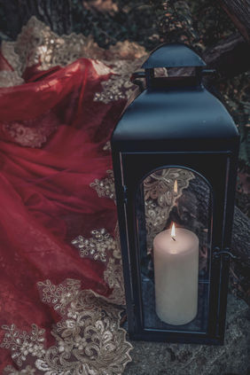 A Dreamy Christmas-Inspired Fantasy Session - Vibe Portrait Studios of Asheville, North Carolina