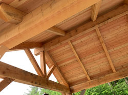 Inside T-Rex Post and Beam Pavilion