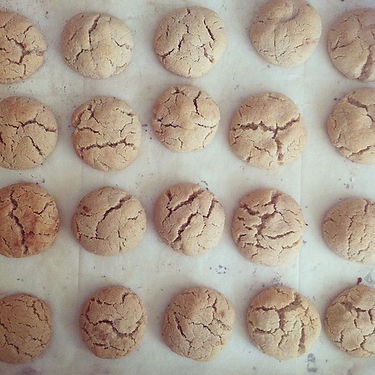 Fresh Baked Cookies