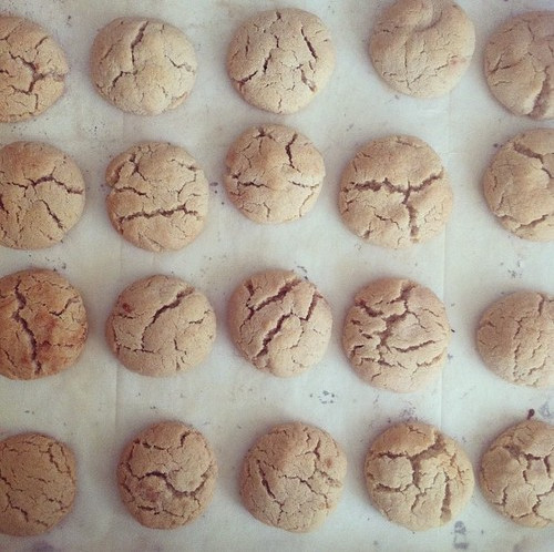 Biscuits frais de boulangerie