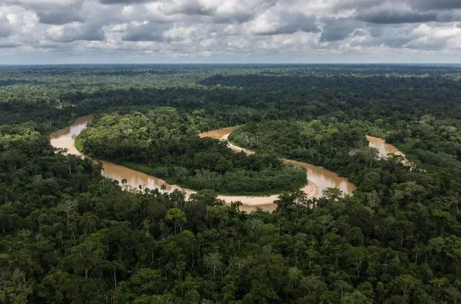 Peruvian Amazon Rainforest