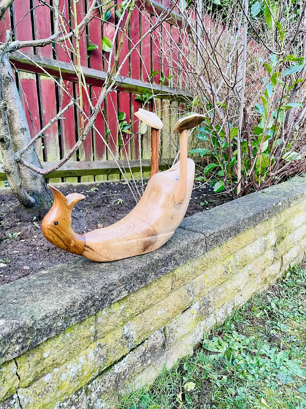 Bottle holder - duck