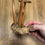 Thumbnail: Mushroom Large