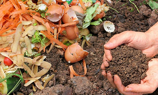 compost-6053136_1920.jpg