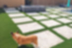 Mesa Arizona backyard with travertine, fire pit and dogs playing on artificial turf
