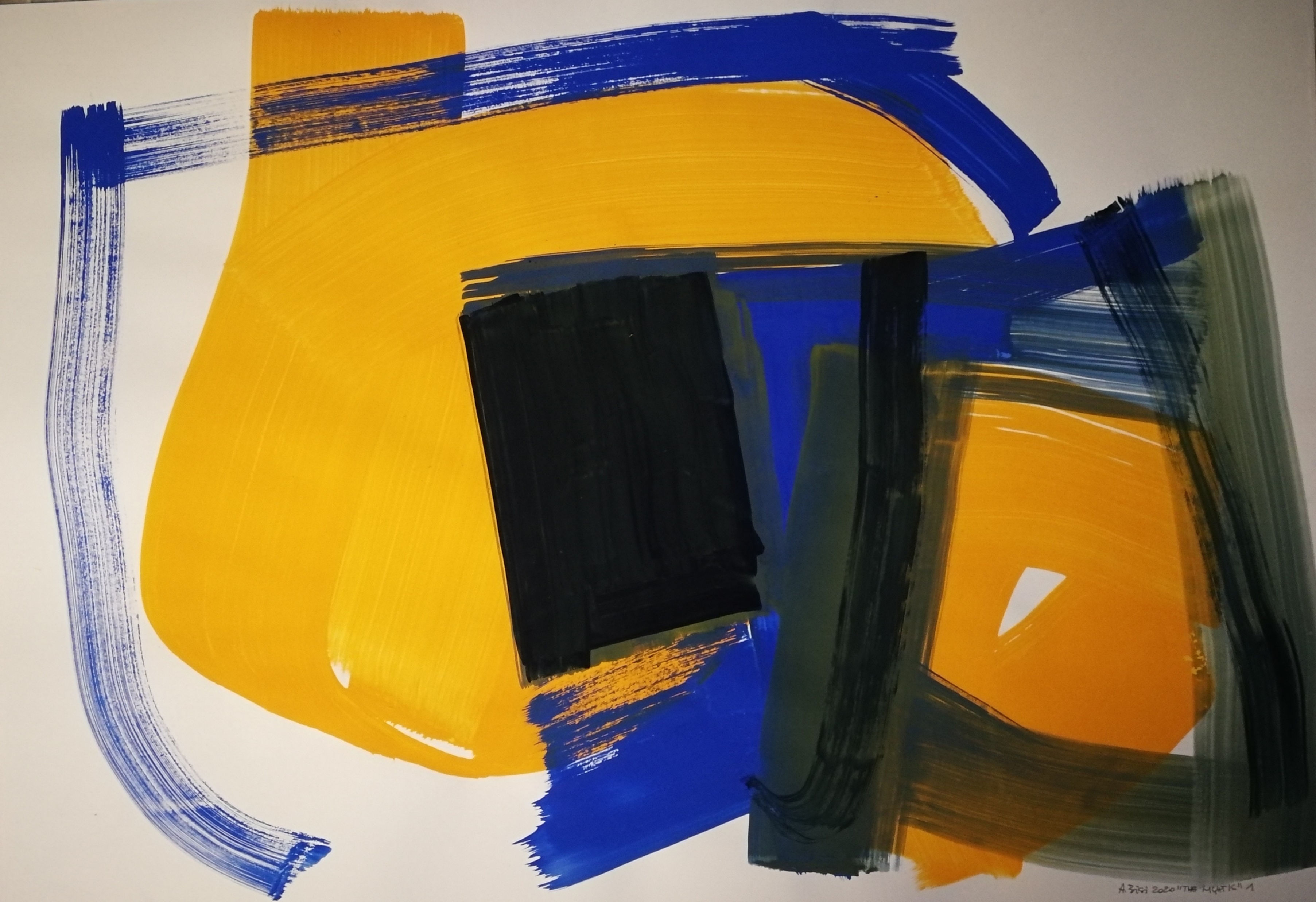 Luce e notte  Alessandra Bisi